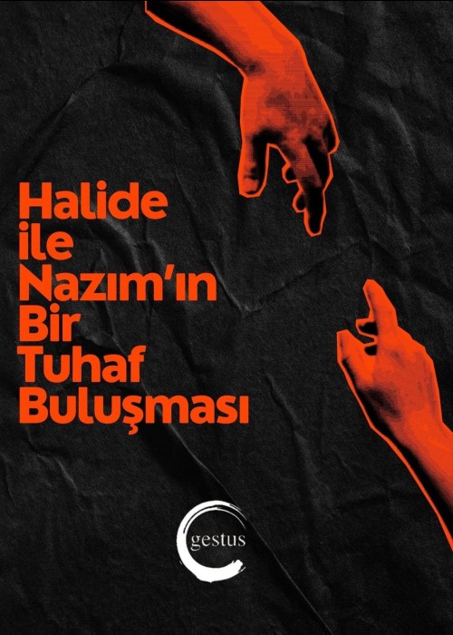 HALİDE İLE NAZIM’IN BİR TUHAF BULUŞMASI, HALİDE İLE NAZIM’IN BİR TUHAF BULUŞMASI